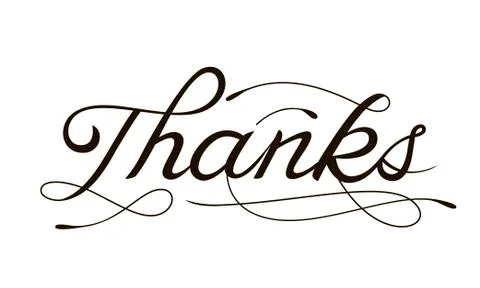 THANK YOU hand lettering -- handmade calligraphy Stock Illustration