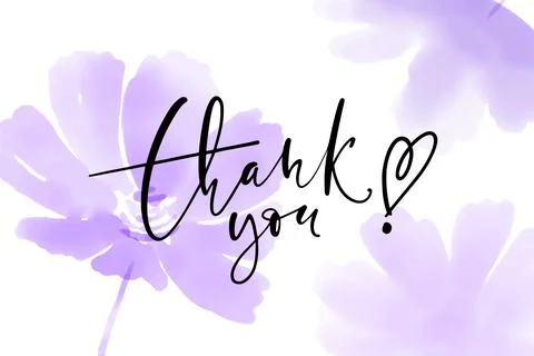 Thank you horizontal vector card. Hand drawn greetings lettering. Modern th.. Stock Illustration