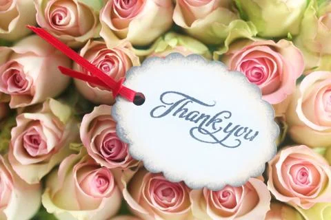 Thank You Note Stock Photos