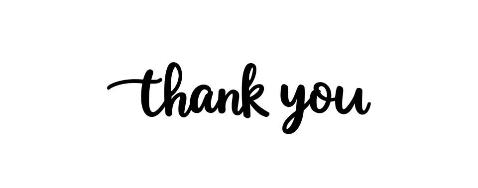 Thank you text background vector calligraphy script font. Thank you typography イラスト素材