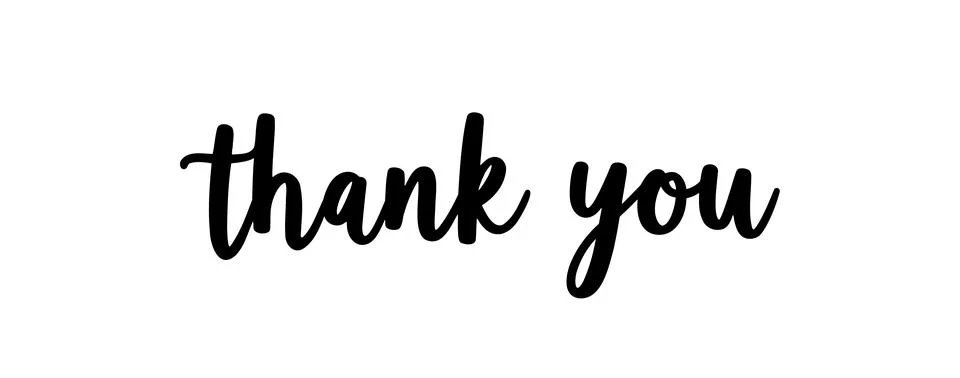Thank you text background vector calligraphy script font. Thank you typography Stock Illustration