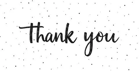 Thank you text background vector calligraphy script font. Thank you typography 스톡 일러스트