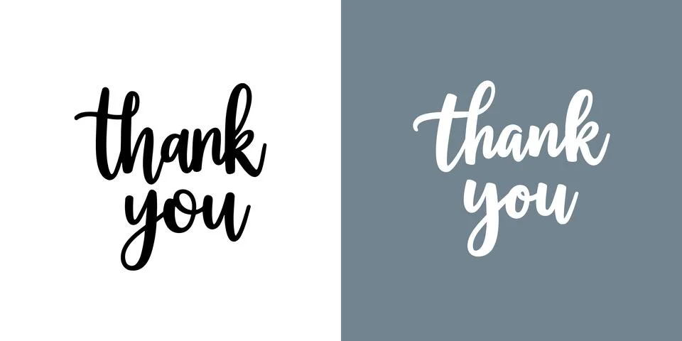 Thank you text background vector calligraphy script font. Thank you typography イラスト素材