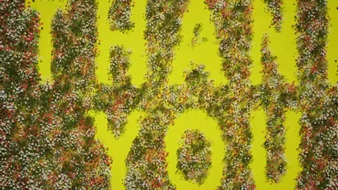 Thank you text headline background with animated growing flowers.  Stock Footage 274722715