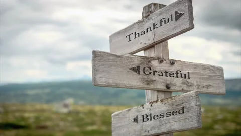 Thankful grateful blessed text engraved on wooden signpost outdoors in nature Stock Footage 170629772