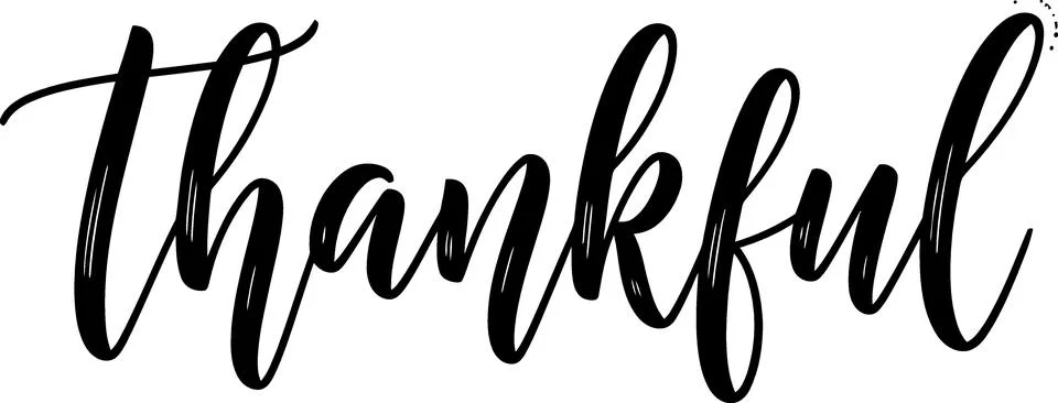 Thankful Handwritten Script Text - Black on White Background Stock Illustration