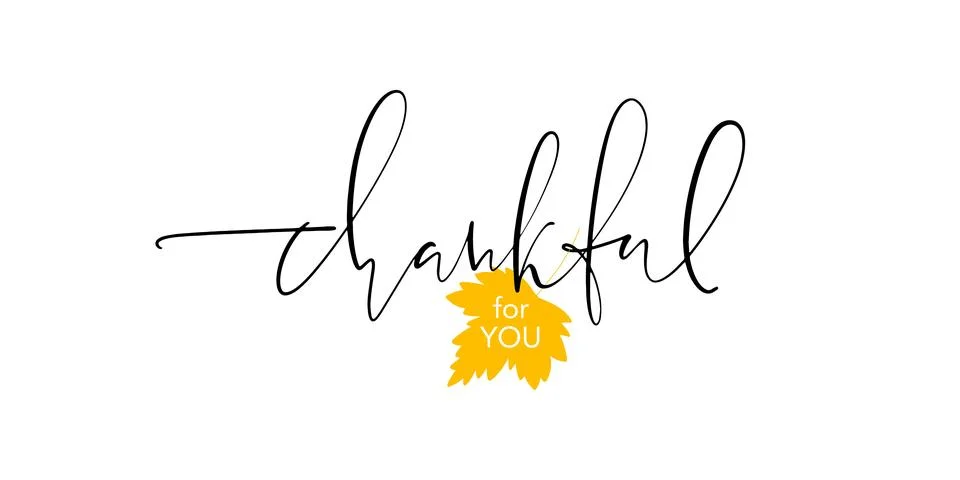 Thankful for you elegant thin script lettering with yellow awtumn leaf. Ins.. Stock Illustration