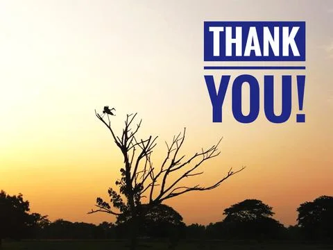 Thank​s​ 스톡 사진