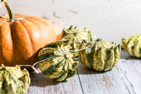 Thanksgiving background, composition with different pumpkins and garland on Stock Photos