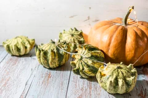 Thanksgiving background, composition with different pumpkins and garland on Stock Photos