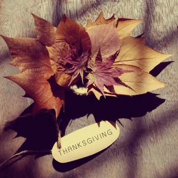 Thanksgiving background with dried maple leaf Stock Photos