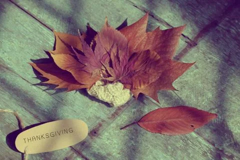 Thanksgiving background with dried maple leaf Stock Photos