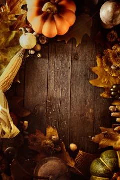 Thanksgiving background Stock Photos