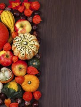 Thanksgiving border with copy space Stock Photos