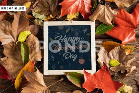 Thanksgiving Chalkboard Mockup ~ PSD Template #219334478