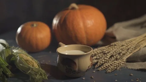 Thanksgiving. a cup of milk on the table. Still Life of Pumpkins and Wheat on Stock Footage 80280782