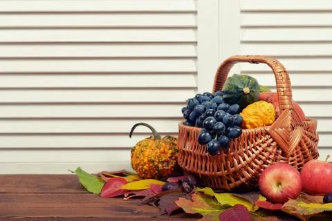 Thanksgiving Day Concept Stock Photos