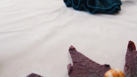 Thanksgiving dinner fall table spread textures with acorns and leaves Stock Footage 117946176