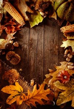 Thanksgiving dinner Stock Photos