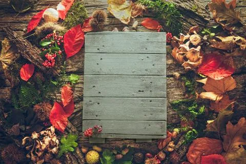 Thanksgiving dinner Stock Photos