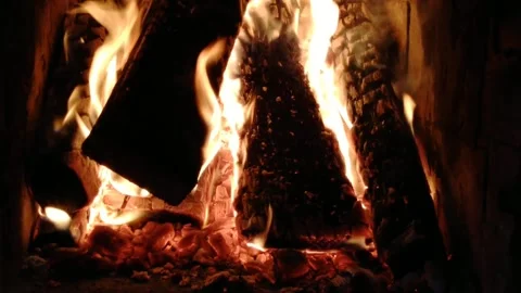 Thanksgiving fire in the fireplace Stock Footage 220557049