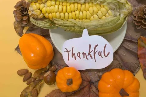 Thanksgiving flat lay with corn, pumpkins, and thankful sign Stock Photos