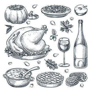 Thanksgiving holiday menu design elements. Vector hand drawn sketch illustrat Stock Illustration