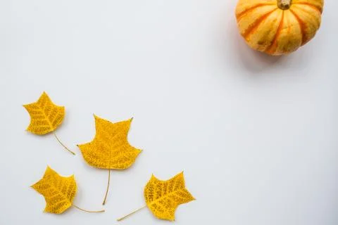 Thanksgiving holiday objects for mock up template design. Autumn pumpkin and  Stock Photos