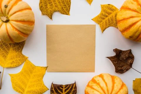 Thanksgiving holiday objects for mock up template design. Autumn pumpkin, bla Stock Photos