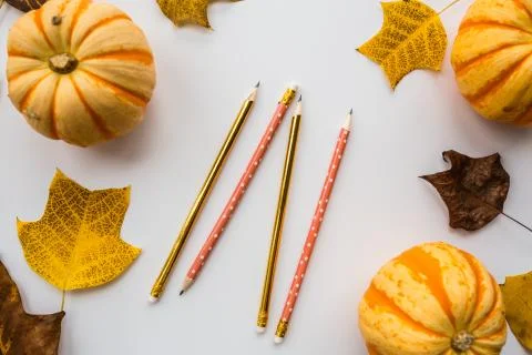 Thanksgiving holiday objects for mock up template design. Autumn pumpkin, pen Stock Photos