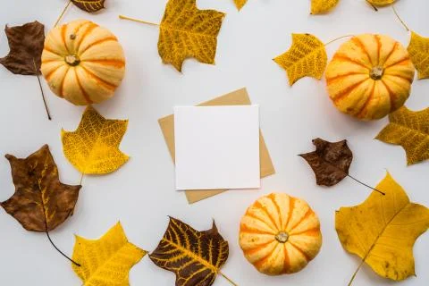 Thanksgiving holiday objects for mock up template design. Autumn pumpkin, bla Stock-Fotos