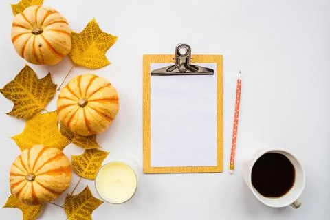 Thanksgiving holiday objects for mock up template design. Autumn pumpkin, pap Foto stock