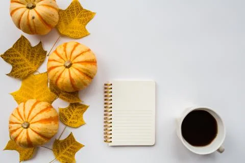 Thanksgiving holiday objects for mock up template design. Autumn pumpkin, not Stock-Fotos