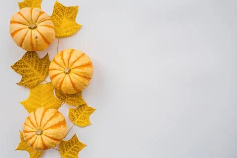 Thanksgiving holiday objects for mock up template design. Autumn pumpkin and  Foto stock
