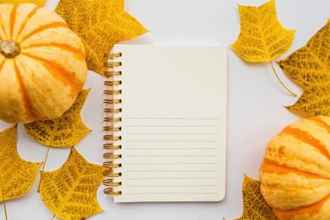 Thanksgiving holiday objects for mock up template design. Autumn pumpkin, not Foto stock
