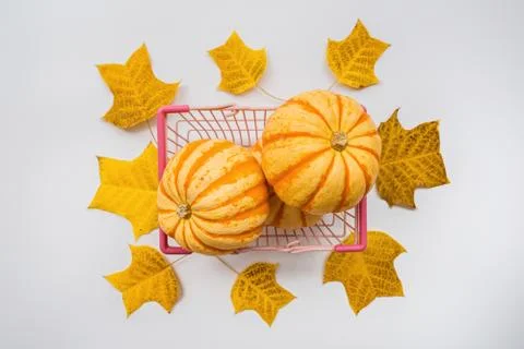 Thanksgiving holiday objects for mock up template design. Autumn pumpkin in f Stock Photos
