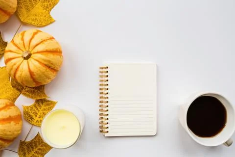 Thanksgiving holiday objects for mock up template design. Autumn pumpkin, not Stock Photos