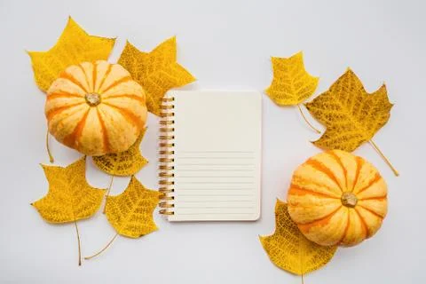Thanksgiving holiday objects for mock up template design. Autumn pumpkin, not Foto stock