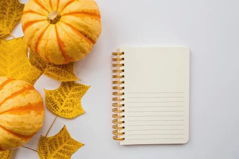 Thanksgiving holiday objects for mock up template design. Autumn pumpkin, not Stock Photos