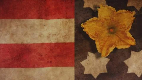 Thanksgiving Stock Illustration