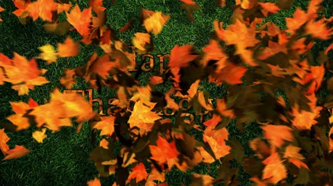 Thanksgiving Leaves Stock Footage 32345239