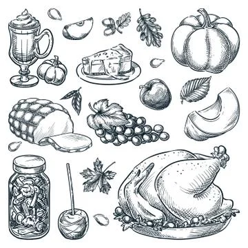 Thanksgiving menu design elements. Traditional holiday home made meal. Vector Stock Illustration