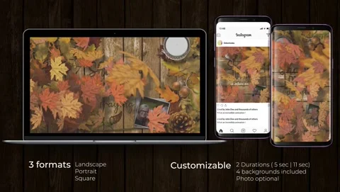 Thanksgiving Opener1 Stock After Effects