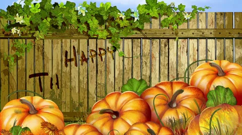 Thanksgiving Panorama Stock Footage 32376985
