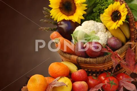 Thanksgiving Stock Photos