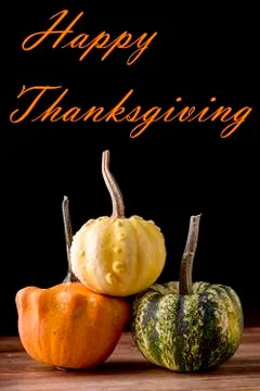 Thanksgiving Stock Photos