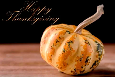 Thanksgiving Photos