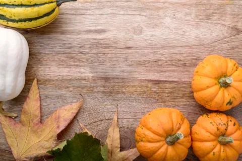 Thanksgiving Stock Photos