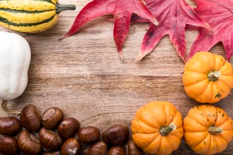 Thanksgiving Stock Photos