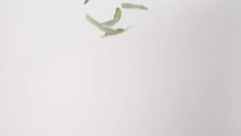 Thanksgiving stuffing aromatic Sage Pieces Fall Raining Slow Motion White Stock Footage 336224020